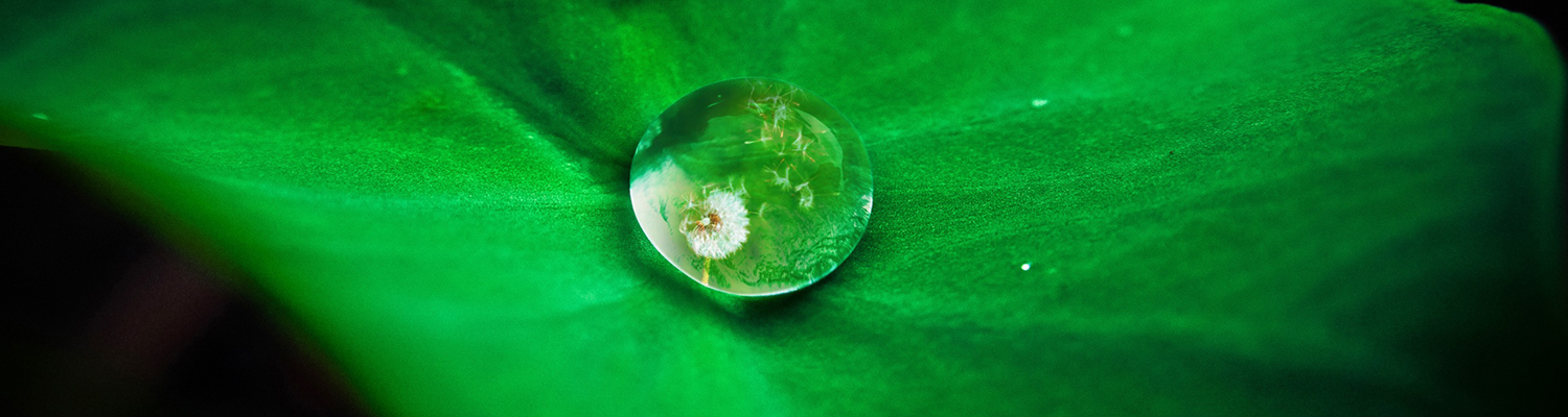 Ilse Reisinger-Englstorfer